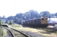 A pair of class 20s with a consignment of Distiller's CO2 standing at Cameron Bridge in July 1991.<br><br>[Ian Dinmore /07/1991]