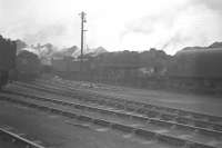 Steam on shed. Lineup of locomotives in the yard at Kingmoor in the early spring of 1967, with Britannia Pacific no 70027 <I>Rising Star</I> in the centre of the photograph.<br><br>[Colin Miller //1967]