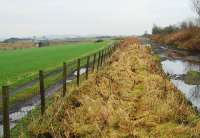 Looking east towards the former Woodend Junction and yard in 2008 from what is now the newly re-opened eastbound platform at Blackridge station. The branch on the left ran to Blackrigg No 2 Colliery with further lines running to Woodend Colliery and other nearby coal mines. The footpath took a route further south here amongst the tips. Following the route of the main line, as seen here, could result in very wet feet! [See image 32302]<br><br>[Ewan Crawford 26/12/2008]