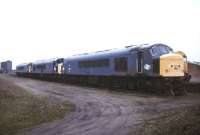 <I>Peak</I> locomotives dumped at March MPD in February 1991.<br><br>[Ian Dinmore /02/1991]