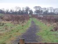 A south easterly view along the former double track electric tramway that ran across the middle of the Island of Bute from Ettrick Bay to Rothesay but closed in 1936. The woodland at the top of the gradient marks the start of the 1.6 mile public route at Greenwood Crossing. [See image 32229] <br><br>[Mark Bartlett 28/12/2010]