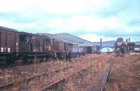 <I>Not the last freight to Langholm - 1967.</I> The Kingmoor - Langholm/Newcastleton pickup freight stands in the goods yard at Langholm in August 1967. This trip, originally intended to be the last, carried an additional brake van for members of the Border Railway Society. As it happened, the service was reprieved a further twice.<br><br>[Bruce McCartney /08/1967]