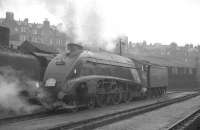 60024 <I>Kingfisher</I> stands in the shed yard at St Margarets on a grey 21 May 1966. The A4 had worked into Waverley earlier that day with the A4 Preservation Society <I>'East Coast Ltd'</I> 08.40 ex-Doncaster. <br><br>[K A Gray 21/05/1966]