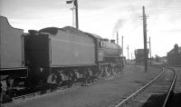 B1 4-6-0 no 61133 stands on Thornton shed. Thought to have been taken during a visit in October 1965.<br><br>[K A Gray 19/10/1965]
