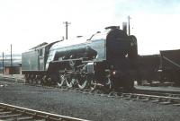 Scene in the yard at Haymarket MPD in July 1959 with Peppercorn class A1 Pacific no 60126 <I>Sir Vincent Raven</I> ready for the road.<br><br>[A Snapper (Courtesy Bruce McCartney) 04/07/1959]