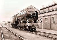 A sepia study of 60532 <I>Blue Peter</I> at Didcot on 1 June 2000.<br>
<br><br>[Peter Todd 01/06/2000]