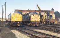 Class 40s Nos 305 (left) and 315 bask in the late summer sunshine in front of the shed building at Holyhead on a pleasant Friday 8th September 1972.<br>
<br><br>[Bill Jamieson 08/09/1972]