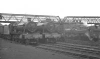 A typically busy scene in the shed yard at Cardiff Canton in August 1962. Locomotives nearest the camera are 4-6-0s 5961 <I>Toynbee Hall</I> and 6935 <I>Browsholme Hall</I>. <br><br>[K A Gray 12/08/1962]