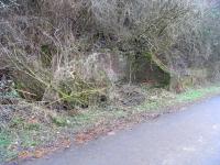 This appears to have been the site of the signal box at Auchmuty <br>
Junction on the Leslie branch; there is certainly the remains of a <br>
signal post base nearby [see image 32566]. I would imagine that it was the quiet sort of box which was either a signalman's first posting or his last. The box would have become redundant on the closure of the line to Leslie in 1967 but rail traffic would continue to pass here on the way to to Auchmuty Paper Mill until 1991/2 (thanks to David Spaven for this information) and the rails remained in place into the 21st century. Photographed on 29 January 2011.<br><br>[David Panton 29/01/2011]