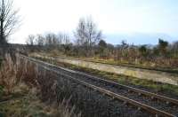 The overgrown platform at Conon station (closed June 1960) photographed on 5 February 2011. A new station (to be named Conon Bridge) is proposed for the village, hopefully before 2012, when there are major road works planned for the Kessock Bridge. These are expected to result in significant delays to road traffic, particularly during in the morning and evening peaks. Protracted discussions regarding the cost (1.6m for a basic platform and shelter) and 'who pays?' have delayed the project.<br>
<br><br>[John Gray 05/02/2011]