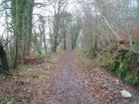 Although a long section of the old Rothesay Tramway, down to Ettrick Bay, has been turned into a foot/cycle path other parts of the trackbed have not been designated but still see unofficial use. This section lies just outside Port Bannatyne alongside the main road. View northwards from near Greenwood Crossing. [See image 32229]<br><br>[Mark Bartlett 28/12/2010]