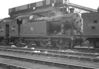 A trio of <I>Jazz</I> veterans on a break at Stratford shed in October 1961. Class N7 0-6-2Ts (left to right) 69698, 69713 and 69693 photographed with 30A's unique high-capacity coaling plant as a backdrop.<br><br>[K A Gray 09/10/1961]