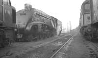 A4 no 60028 <I>Walter K Whigham</I> beginning to sense the winds of change at Gateshead shed in October 1962.<br><br>[K A Gray 06/10/1962]