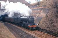 A3 Pacific no 60087 <I>Blenheim</I> blasts out of Whitrope Tunnel with the 12.00 Edinburgh-Carlisle on 16 April 1961. This train achieved some notoriety for being one of the heaviest loss-makers on BR Scottish Region, and was withdrawn on Mondays to Fridays in early 1962 - leaving a dreadful 4 hour gap between the 10.15 am and 2.43 pm departures from Waverley, which remained (extended to over five hours) to the very last Waverley Route timetable. <br><br>[Frank Spaven Collection (Courtesy David Spaven) 16/04/1961]