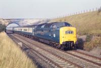 'Deltic' no 9011 'The Royal Northumberland Fusiliers' powers its way through Musselburgh between Newhailes and Monktonhall Junctions on 16 February 1970. The train is the 12.00 departure from Waverley for Kings Cross. Some 18 years later the current Musselburgh station was opened on the other side of the bridge carrying Whitehill Farm Road. [See image 17442]<br><br>[Bill Jamieson 16/10/1970]