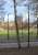 The most obvious remnants of Edinburgh's once extensive tram system are some former trampoles which were converted to street lighting after the routes closed in the mid 1950s. Melville Drive, which runs through the Meadows, has a complete set of these and a facing pair are pictured on 3 January. The fact that they are facing is a giveaway: lamp posts are usually staggered. How long before people are looking for remnants of Edinburgh's next tram system? Let's wait until it's built (and at the moment...)<br>
<br><br>[David Panton 03/01/2011]