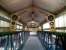 The station footbridge at Hereford, looking towards the booking hall in February 2011. I passed the other way in a slightly intoxicated state once or twice when younger!<br><br>[Ken Strachan 05/02/2011]