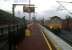 Obviously not the 17.20 to Euston - otherwise it would be over 30 minutes early...  GB Railfreight 66704 hauling LOTS of containers south through Rugby platform 6 on 11 February 2011.<br><br>[Ken Strachan 11/02/2011]