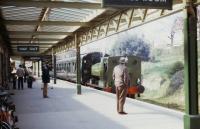 Standing under the canopy at Swanage station in April 1981 with a two coach train waiting at the platform.<br><br>[John McIntyre /04/1981]