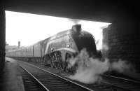 A4 Pacific no 60007 <I>Sir Nigel Gresley</I> calls at Stirling in the summer of 1965 with the 5.30pm Glasgow Buchanan Street - Aberdeen train.<br><br>[K A Gray 07/06/1965]