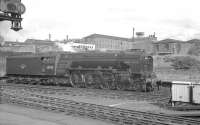 A2 Pacific no 60532 <I>Blue Peter</I> held at the north end of Buchanan Street station in the summer of 1966, having worked in earlier with a train from Aberdeen.<br><br>[K A Gray //1966]