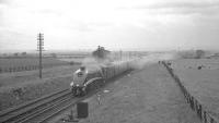 60022 <I>Mallard</I> heading north near Little Benton Sidings, south of Benton Quarry Junction, on 2 June 1962. The train is the RCTS/SLS <I>Aberdeen Flyer</I> rail tour. 60022 had brought the special from Kings Cross and would hand over to classmate 60004 <I>William Whitelaw</I> at Waverley for the remainder of the journey to Aberdeen.<br><br>[K A Gray 02/06/1962]