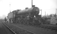 A dull and overcast Saturday 2 May 1964 sees B1 4-6-0 no 61031 <I>Reedbuck</I> receiving attention in the yard at York. The locomotive was being prepared to work the RCTS <I>North Eastern Limited</I> from York to Middlesbrough via Falsgrave Junction, Whitby Town and Battersby.<br><br>[K A Gray 02/05/1964]