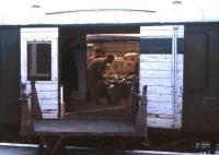 Milk churns are amongst the sundries and parcels traffic being transferred from rail van to lorry in this summer 1974 shot at Kyle of Lochalsh.<br><br>[David Spaven //1974]