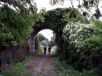 The first bridge out of Chippenham - looking rather like an arch in an ornamental garden in August 2010.<br><br>[Ken Strachan 30/08/2010]