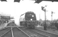 The 11-coach RCTS <i>Great Central Rail Tour</i> pauses for a photostop at Aylesbury on its way north on 13 August 1966. The railtour was run to mark the end of through passenger services over much of the GC London Extension the following month. The special had started from Waterloo, arriving at Aylesbury via Kew East, Acton Wells and Neasden South Junctions behind West Country Pacific no 34002 <I>Salisbury</I>. The locomotive took the special on to Nottingham Victoria over the GC. <br><br>[K A Gray 13/08/1966]