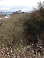 Looking east back towards the site of Greenock Lynedoch station over the trackbed of the Princes Pier line in March 2011. Off to the left stood the large Lynedoch goods depot, while on the right was the yard serving the Westburn Sugar Refinery. [See image 33483]<br><br>[Graham Morgan 22/03/2011]