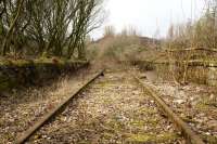 On the trackbed at Lynedoch Station, looking west in March 2011. The trackbed from here through to the Container Terminal was cleared a few years ago to allow maintenance teams to access the line to work on the tunnels on the route.<br><br>[Graham Morgan 22/03/2011]