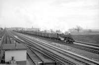 An unidentified Stanier 8F 2-8-0 takes a northbound freight out of Carlisle in the sixties. The train has just passed Kingmoor shed which can be seen in the left background.<br><br>[Robin Barbour Collection (Courtesy Bruce McCartney) //]