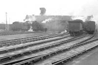 General view of the shed yard at 64B, Haymarket, in January 1958. <br><br>[A Snapper (Courtesy Bruce McCartney) 03/01/1958]