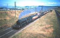 A3 Pacific no 60091 <I>Captain Cuttle</I> has just passed Monktonhall Junction in the summer of 1955 and is approaching the site of the 1988 Musselburgh station with an ECML service bound for Waverley. [Editors note: Michael Laing tells me that the second and probably third vehicles in this train are ex-GCR 'Barnum' open thirds, built in 1910 and seating 64 in two 4-bay open saloons. According to the GCR rolling stock trust website the last examples of these coaches were withdrawn in 1958.] <br>
<br><br>[A Snapper (Courtesy Bruce McCartney) 16/07/1955]