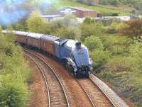 60007 with the <I>Forth Circle</I> special on 24 April between Inverkeithing Central and East Junctions.<br><br>[Brian Forbes 24/04/2011]