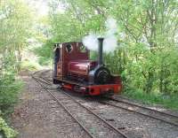 The charming 0-4-0ST <I>Irish Mail</I>, built by Hunslet (823/1903), doesn't look 108 years old as she runs round her train at Delph on the WLLR. Just beyond the headshunt the unused track curves round the corner, but is only used for stock storage at the present time. This loco was one of many to a similar style used in the Dinorwic Quarry near Llanberis. [See image 36786]<br><br>[Mark Bartlett 25/04/2011]