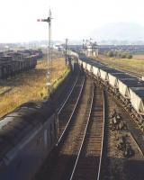 Class 50 no 414 returning light engine from Millerhill to Polmadie [see image 32389] is stopped on the approach to Niddrie West Junction on 13 October 1970.  The hold-up is caused by class 26s 5303 + 5304 snaking across the formation with MGR empties from Cockenzie PS destined for Fife. Niddrie West signal box stands in the middle distance with the outline of Arthur's Seat just visible through the haze.<br>
<br><br>[Bill Jamieson 13/10/1970]