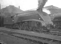 60010 <I>Dominion of Canada</I> adds to the haze hanging over Doncaster shed on 24 February 1963.  Following its withdrawal by BR in 1965 the locomotive was shipped to Canada where it became an exhibit at the Canadian Railway Museum on the outskirts of Montreal. [See image 43543] <br><br>[K A Gray 24/02/1963]