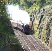 Less than 20 minutes out of Waverley in Sunday morning sunshine on 17 April 2011 the <I>Great Britain IV</I> rounds the curve from Morningside on the Edinburgh sub behind Royal Scot no 46115 <I>Scots Guardsman</I> heading for Inverness.<br><br>[John Furnevel 17/04/2011]