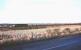 An EE Type 4 with a lengthy cement train on the ECML near Longniddry in 1979.<br><br>[Bruce McCartney //1979]