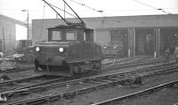 The NCB locomotive shed and workshops at Westoe, South Shields, with various electric locomotives present. The large Westoe complex, linking local coal mines with staithes on the River Tyne, was originally developed by the Harton Coal Company. It was finally abandoned following the closure of Westoe Colliery, the last operational deep mine on Tyneside, in 1993. The photograph is thought to have been taken circa 1959.<br><br>[K A Gray //1959]