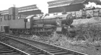 Hawksworth ex-GWR County class locomotive no 1005 <I>County of Devon</I> manoeuvering in the yard at Cardiff Canton in August 1962. The 4-6-0 was eventually withdrawn from St Philips Marsh shed, Bristol, in June the following year.<br><br>[K A Gray 12/08/1962]