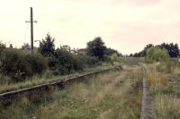 The view north through the former Drayton station on 13th October 1979, a few months after demolition of the station building and removal of the road overbridge. All the fabric of the station had been carted away, save for the roof trusses and the ticket hatch and frame which had been left lying at the roadside.<br><br>[Mark Dufton 13/10/1979]