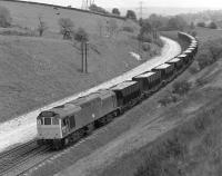 BR Sulzer Type 2 No. 25 100 brings a load of limestone <br>
from Tunstead to Northwich downhill through Buxworth cutting, early on the afternoon of June 11th 1977. The ICI owned bogie hoppers were <br>
already about forty years old at this time but were to soldier on for a further twenty or so.<br><br>[Bill Jamieson 11/06/1977]