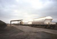 Surreal railway scene at Thornton - wagons of starch for road delivery to the nearby Tullis Russell paper mill in 1998, six years after closure of the company's private siding at the terminus of the Markinch-Auchmuty branch.<br>
<br><br>[David Spaven //1998]