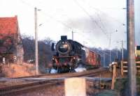 A westbound freight from Bad Oeynhausen, photographed late one April afternoon day in 1976 heading over the level crossing on <br>
Schaferweg, Bruchmuhlen, between Bunde and Melle.<br>
<br><br>[John McIntyre /04/1976]