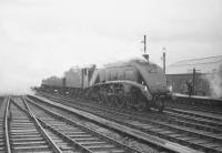 A mixture of mist, rain and steam conspires to obliterate A4 Pacific no 60019 <I>Bittern</I> as it runs into the south end of Carlisle station on 12 November 1966 with <I>The Waverley</I>. This particular version of the famous train is a special from York organised by the RCTS. It has arrived via the Newcastle and Carlisle line and will be continuing its journey to Edinburgh via Hawick [see image 25301] before returning to York via the east coast main line. <br><br>[Robin Barbour Collection (Courtesy Bruce McCartney) 12/11/1966]