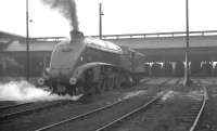 A4 Pacific no 60007 <I>Sir Nigel Gresley</I> stands outside Balornock Shed in June 1965.<br><br>[K A Gray 07/06/1965]