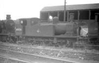 J72 O-6-0T no 69014 dumped in the sidings alongside Polmont shed in the summer of 1959.<br><br>[Robin Barbour Collection (Courtesy Bruce McCartney) 27/07/1959]